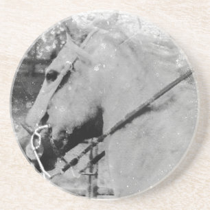 Posavasos Caballo en blanco y negro