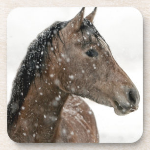 Posavasos Caballo en invierno
