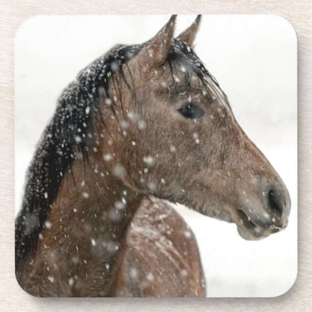 Posavasos Caballo en invierno (Frente)