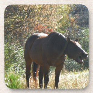 Posavasos Caballo en otoño