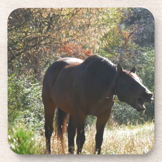 Posavasos Caballo en otoño (Frente)