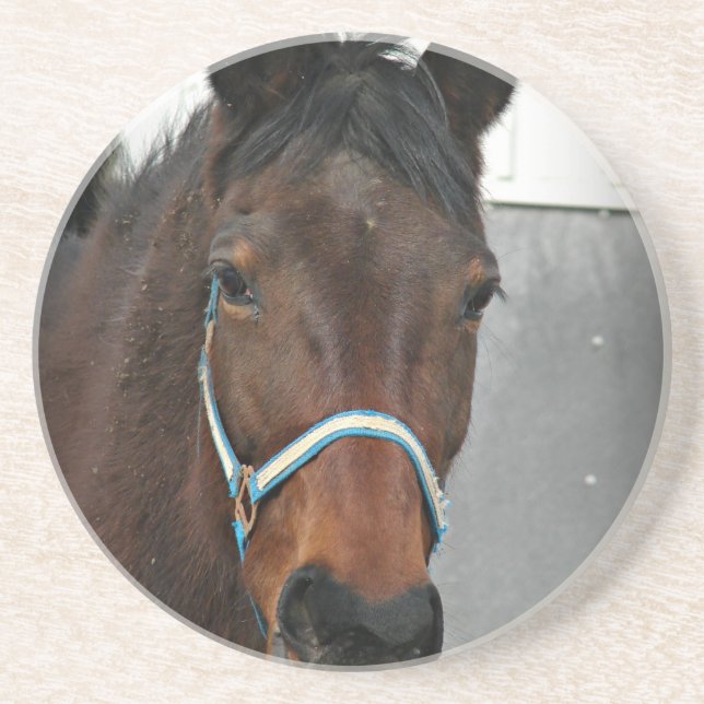 Posavasos caballo feliz (Frente)