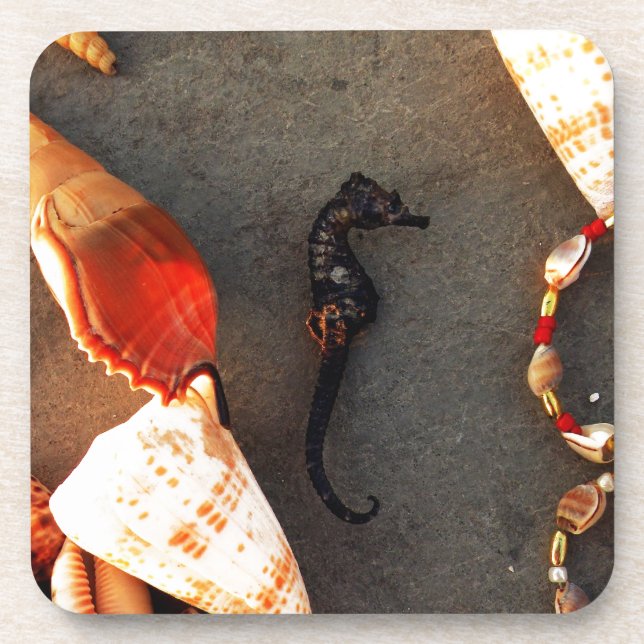 Posavasos Caballo marino (Frente)