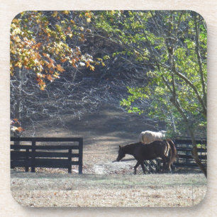 Posavasos Caballo marrón caminando por la valla