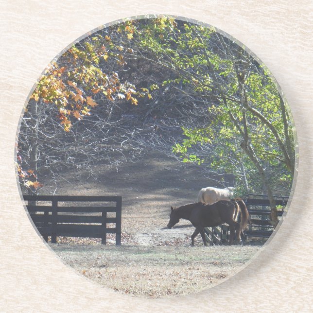 Posavasos Caballo marrón caminando por la valla (Frente)