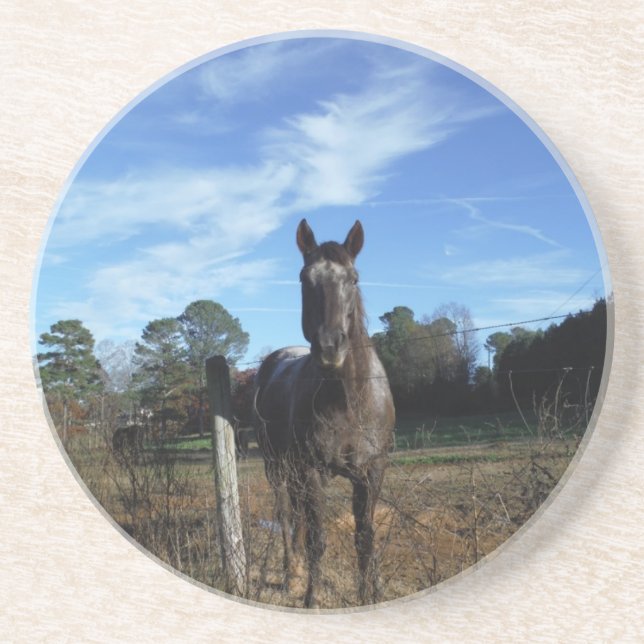 Posavasos Caballo marrón de chocolate lechoso en azul (Frente)