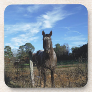 Posavasos Caballo marrón de chocolate lechoso en azul
