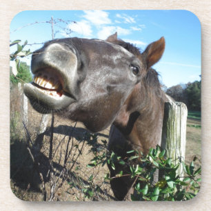 Posavasos Caballo marrón parlante