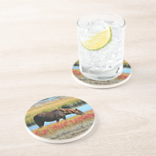 Posavasos Caballo Marrón Pastando junto al Agua Arte de Aren