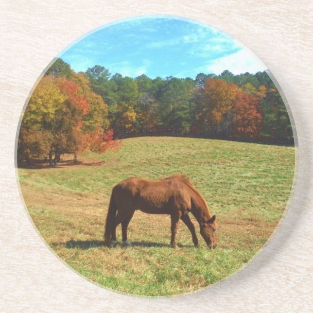 Posavasos Caballo marrón rojo, cielo azul Verde azulado (Frente)