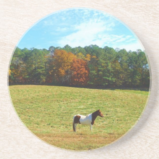 Posavasos Caballo marrón y blanco, árboles de otoño, cielo a (Frente)