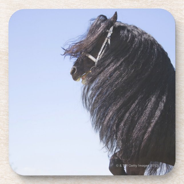 Posavasos caballo negro con la melena larga (Frente)