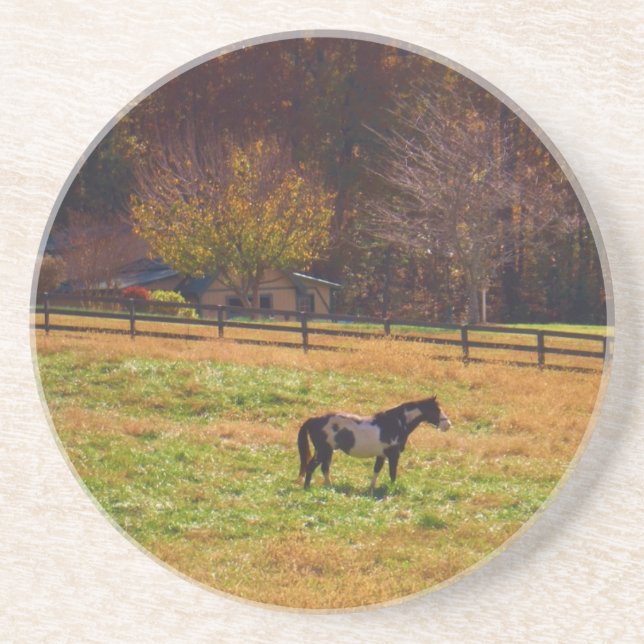 Posavasos Caballo pintado a lo lejos (Frente)