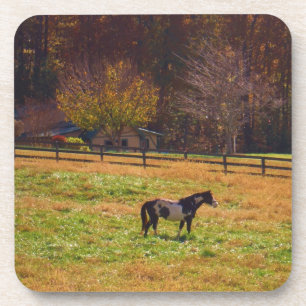 Posavasos Caballo pintado a lo lejos