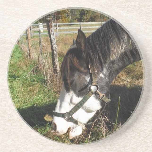 Posavasos Caballo pintado, flor de la reina de la alimentaci (Frente)
