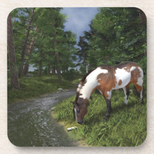 Posavasos Caballo Pintado junto al Arroyo del Bosque