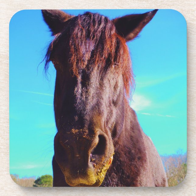 Posavasos Caballo púrpura con boca verde (Frente)