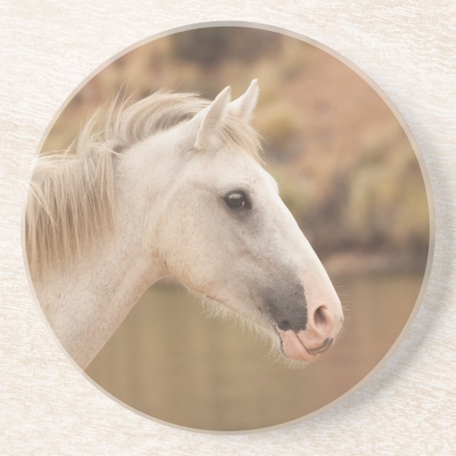 Posavasos Caballo salvaje blanco (Frente)