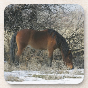 Posavasos Caballo salvaje del mustango en la nieve 1