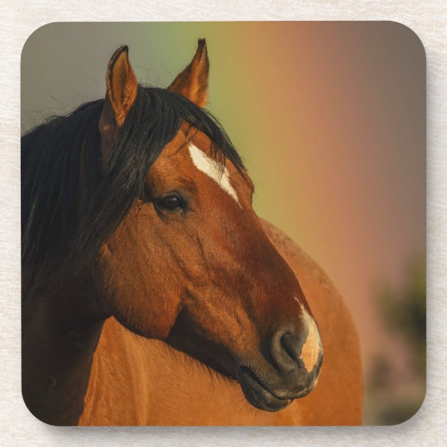 Posavasos Caballo salvaje, luz dorada y arcoíris (Frente)
