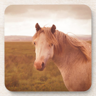 Posavasos Caballo salvaje vintage