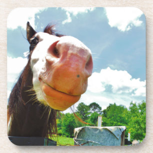 Posavasos Caballo sonriente