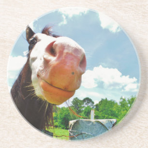 Posavasos Caballo sonriente