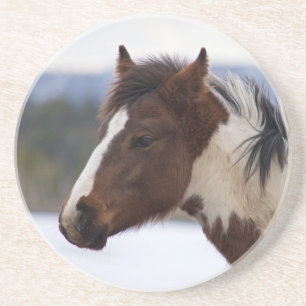 Posavasos Caballo tricolor