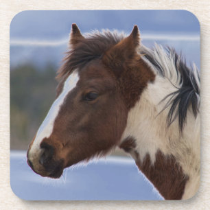 Posavasos Caballo tricolor