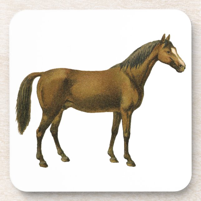 Posavasos Caballo Vintage (Frente)