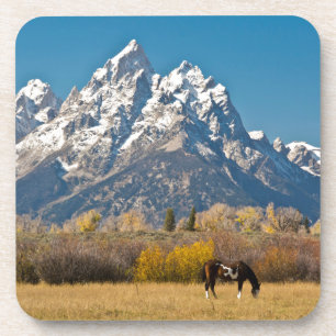 Posavasos Caballo y Grand Tetons, Rancho Moose Head