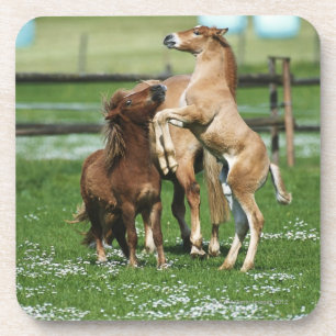 Posavasos Caballos 3