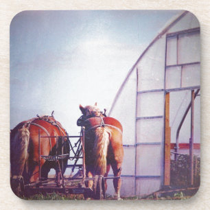 Posavasos Caballos Borradores Listos Para El Trabajo