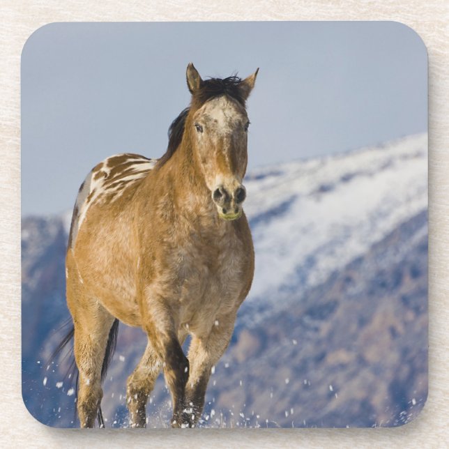 Posavasos Caballos corriendo en nieve (Frente)