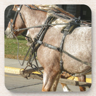 Posavasos Caballos de bonito