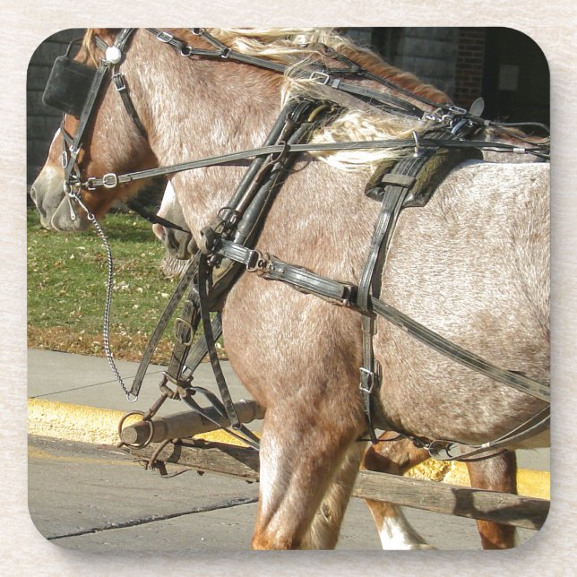 Posavasos Caballos de bonito (Frente)