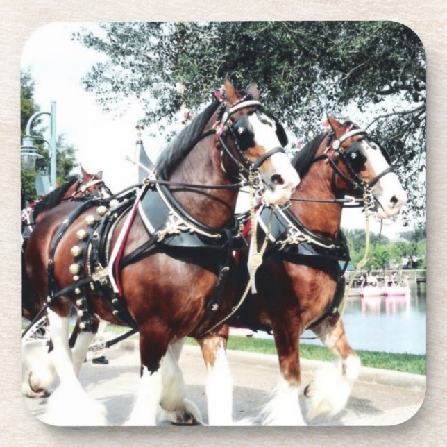 Posavasos Caballos de Clydesdale (Frente)