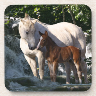 Posavasos Caballos de la fantasía: Cascada