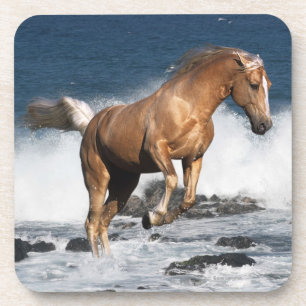 Posavasos Caballos de la fantasía: Chapoteo del verano
