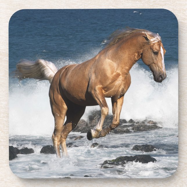 Posavasos Caballos de la fantasía: Chapoteo del verano (Frente)