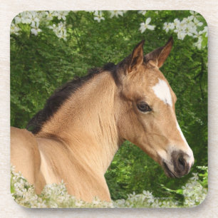 Posavasos Caballos de la fantasía: Flores