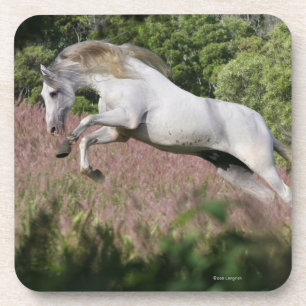 Posavasos Caballos de la fantasía: Galope de la primavera