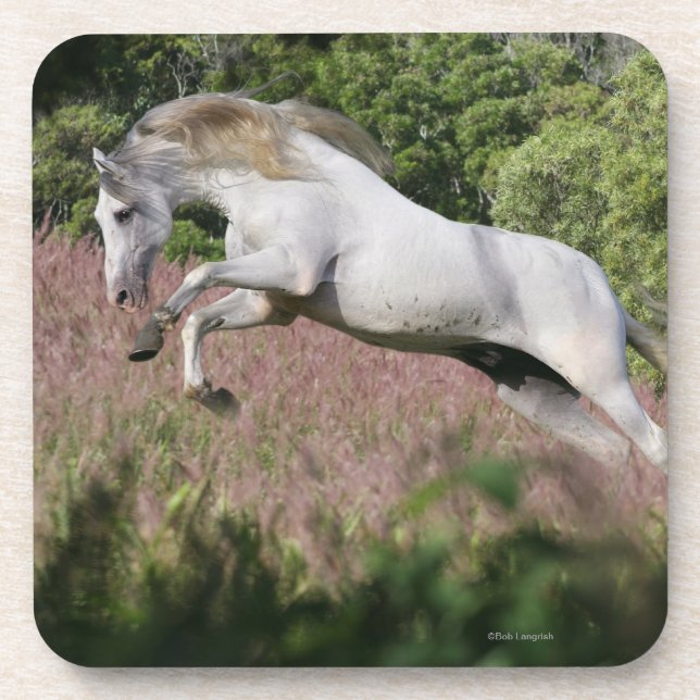 Posavasos Caballos de la fantasía: Galope de la primavera (Frente)