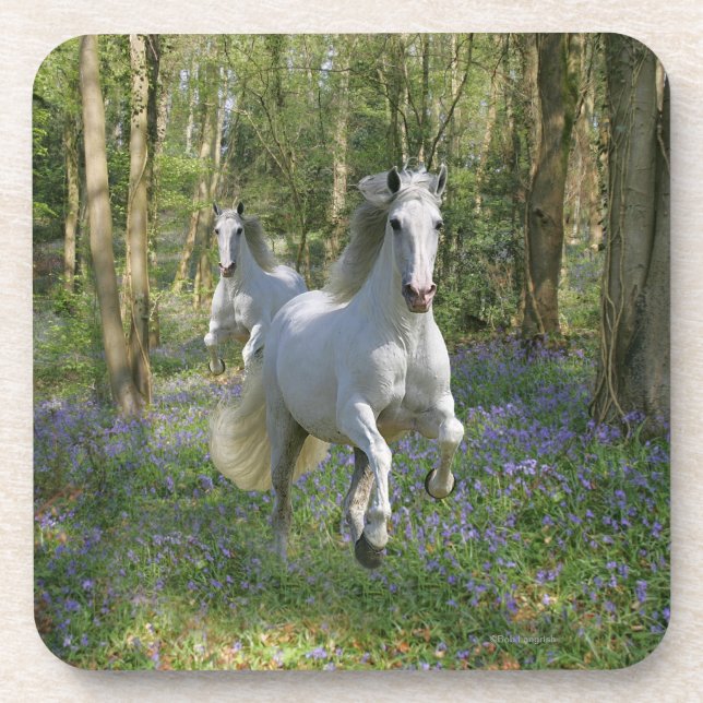 Posavasos Caballos de la fantasía: Madera del Bluebell (Frente)