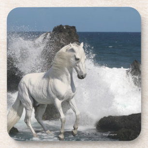 Posavasos Caballos de la fantasía: Mares meridionales