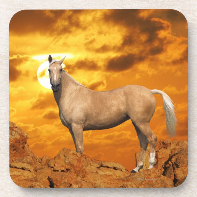 Posavasos Caballos de la fantasía: Montaña (Frente)