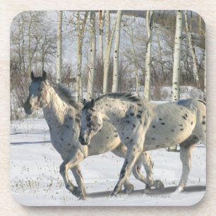 Posavasos Caballos de la fantasía: País de las maravillas