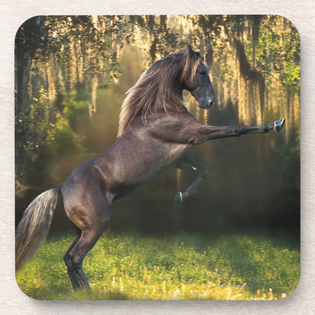 Posavasos Caballos de la fantasía: Príncipe del guerrero (Frente)