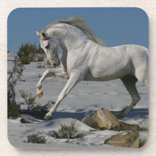 Posavasos Caballos de la fantasía: Rey de la nieve