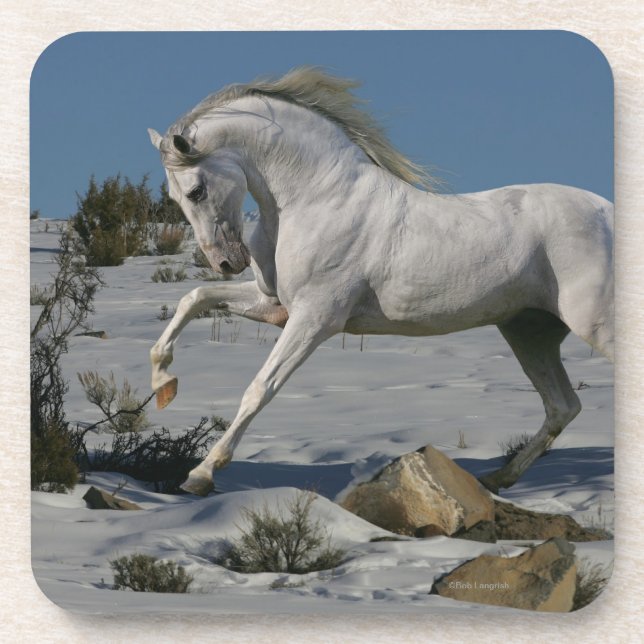 Posavasos Caballos de la fantasía: Rey de la nieve (Frente)